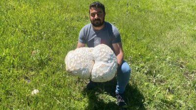 Tam 12 kilo 320 gram… Kaya sandıkları cisim…