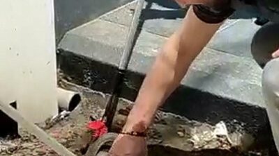 Bursa’da görenler şaşkına döndü! Böyle yakaladı…