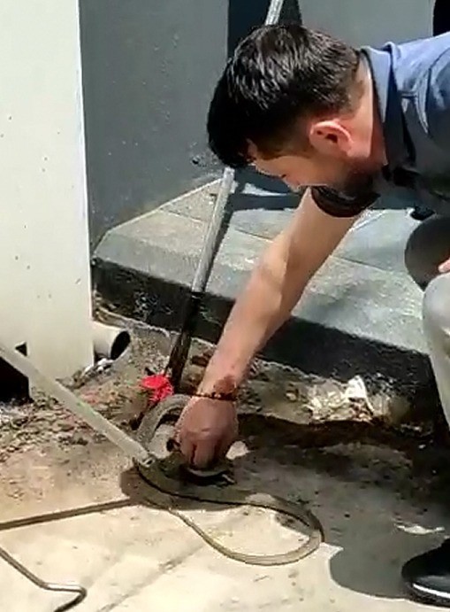 Bursa’da görenler şaşkına döndü! Böyle yakaladı…