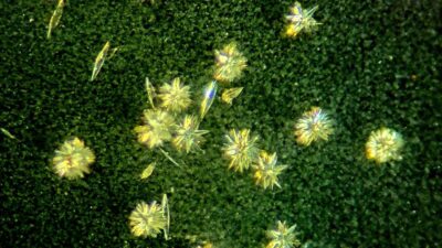 Türk fizikçiden çığır açan keşif