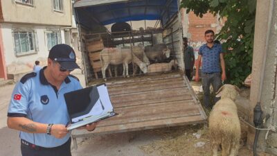  Mahalle arasında kurban satışına izin yok