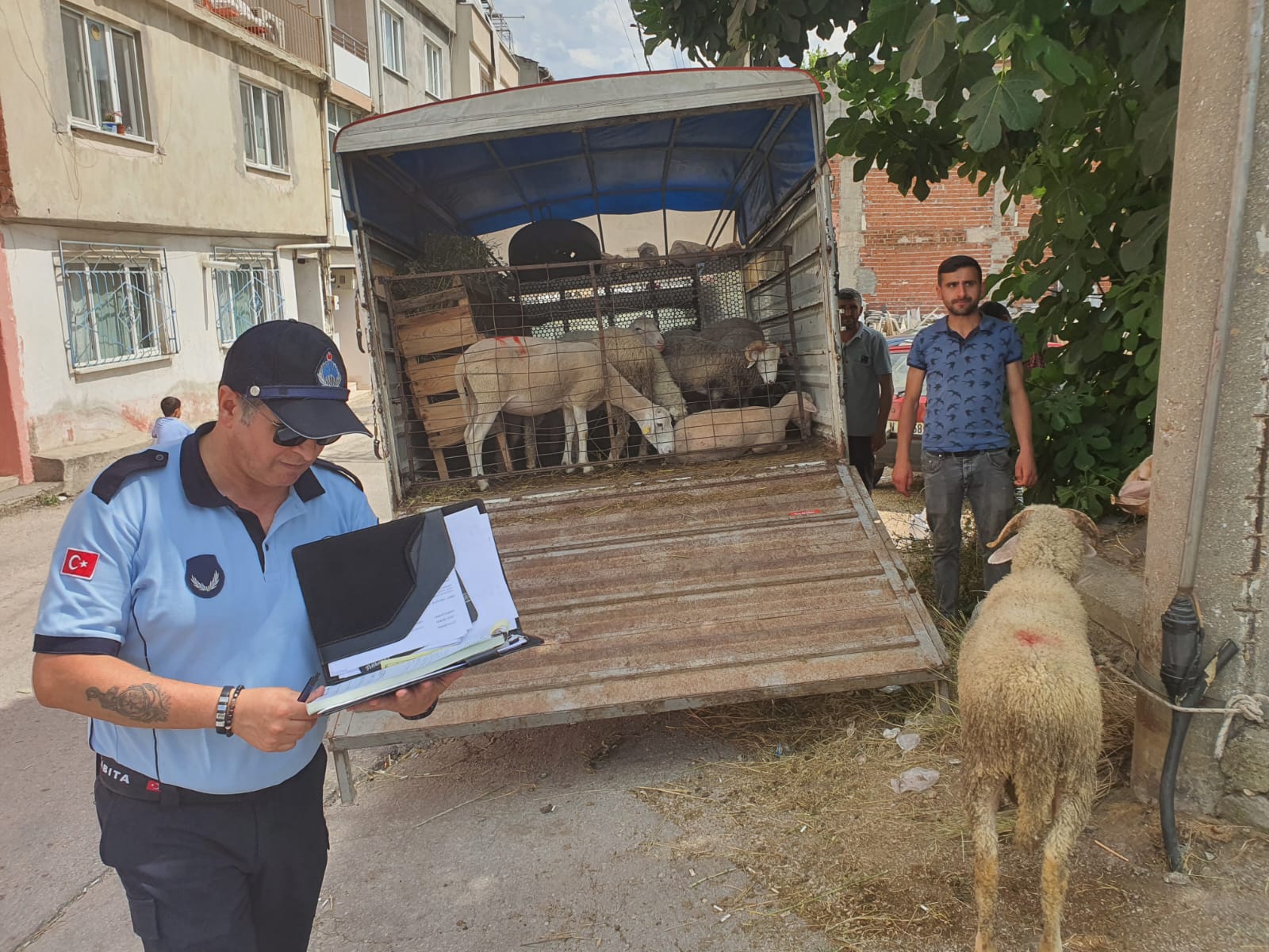  Mahalle arasında kurban satışına izin yok