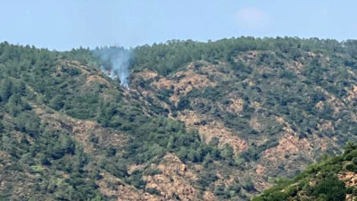 Marmaris’te orman yangını
