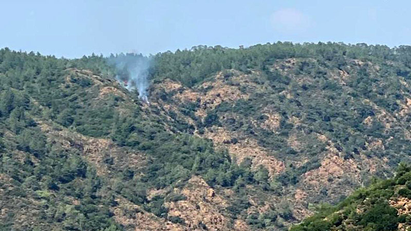 Marmaris’te orman yangını