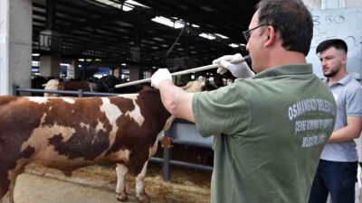 Osmangazi’de kurban yakalama timleri göreve hazır