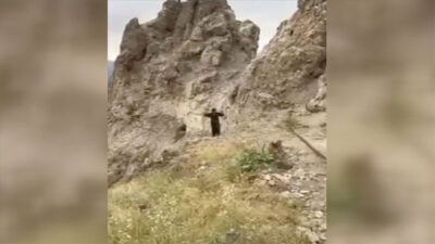 MSB paylaştı! Böyle teslim oldular