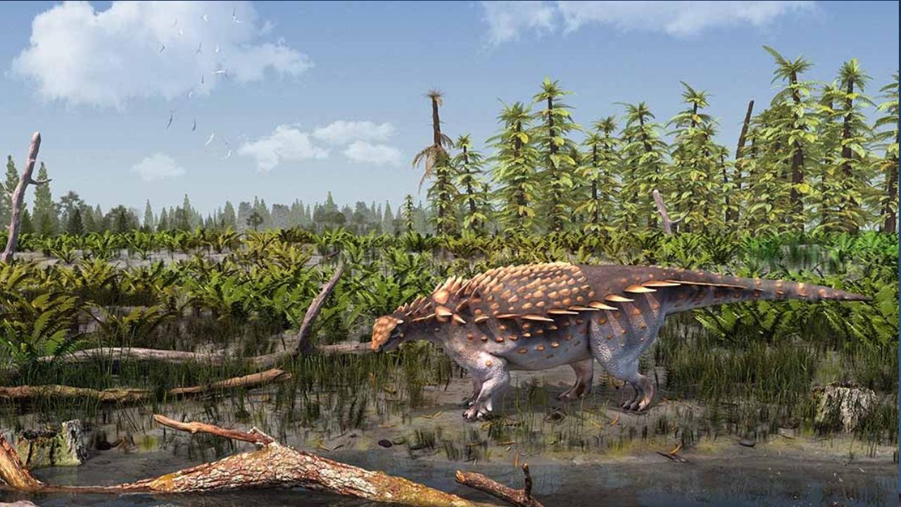 Zırh derili yeni dinozor fosili keşfedildi