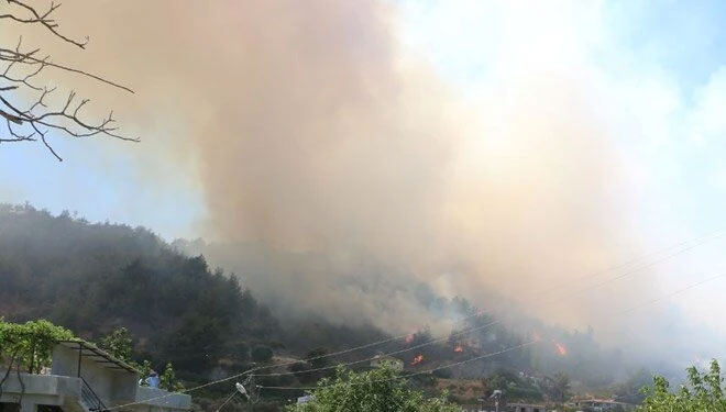 Hatay ve İzmir’de orman yangını