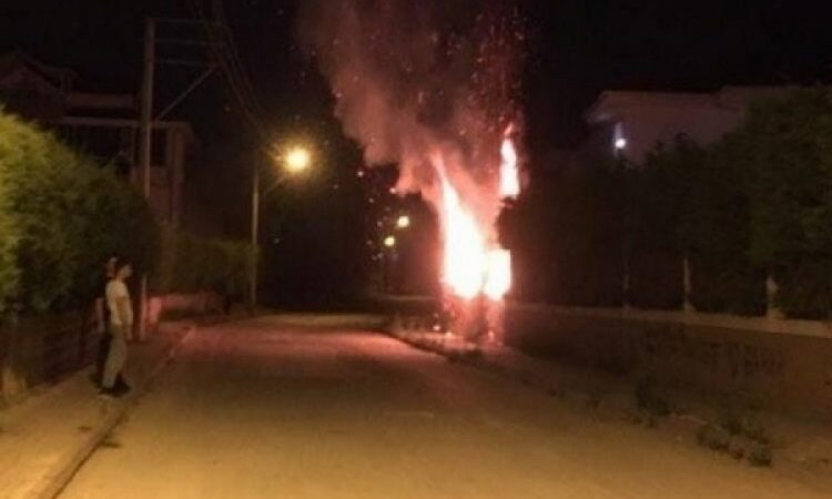 Bursa'nın İnegöl ilçesinde bir sitenin bahçesindeki ağaçların ateşe verildiği iddiası