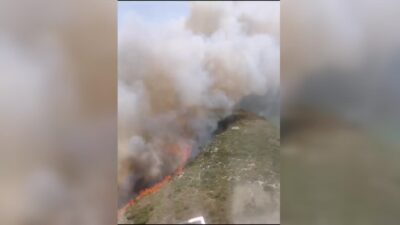 İzmir’de makilik alanda yangın