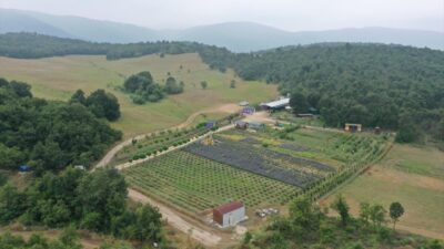 Bursalı doktorun tıbbi aromatik bahçesi doğaseverleri ağırlıyor