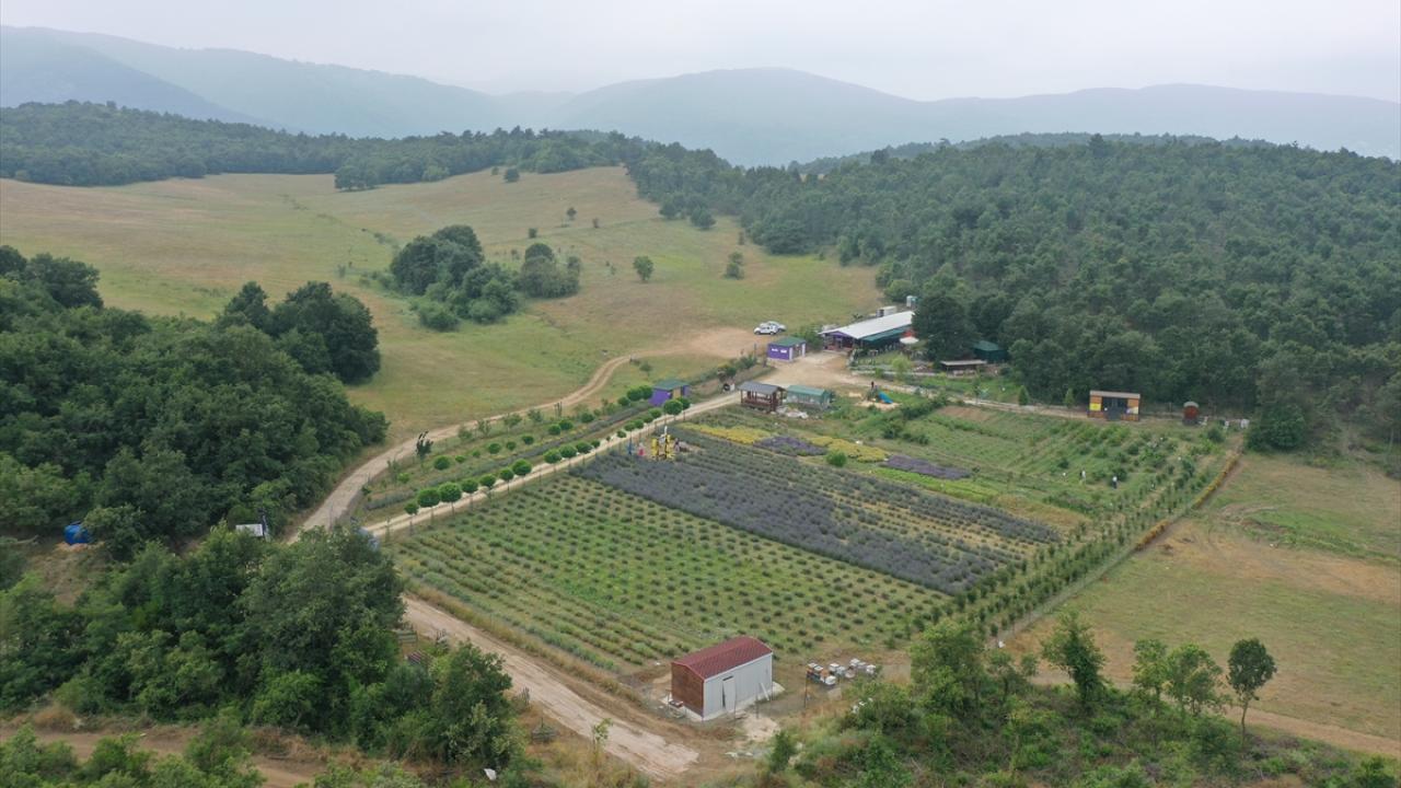 Bursalı doktorun tıbbi aromatik bahçesi doğaseverleri ağırlıyor
