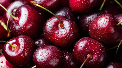 Bursa’nın bir değeri daha tescillendi