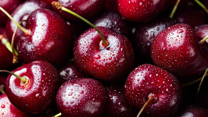 Bursa’nın bir değeri daha tescillendi