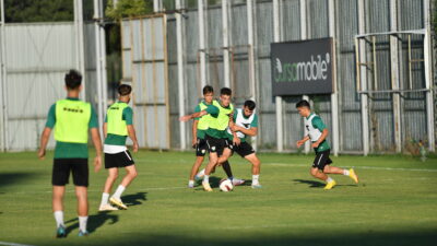 Timsah görücüye çıkıyor