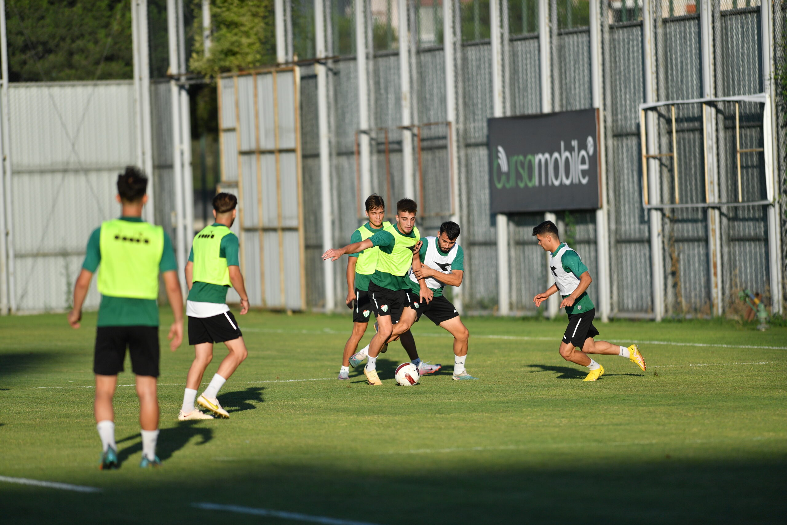 Timsah görücüye çıkıyor