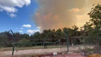 İstanbul Sultangazi’de orman yangını