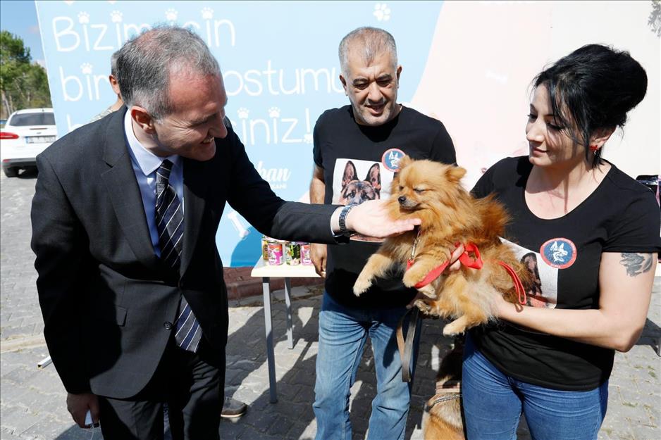 İnegöl Belediyesi 6 ayda 2.700 hayvana şifa oldu