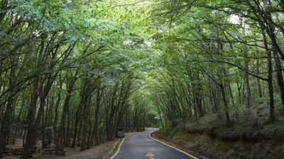 Ankara Valiliği duyurdu: 30 Eylül’e kadar yasaklandı