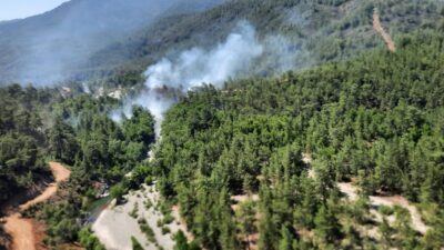 Muğla’da orman yangını