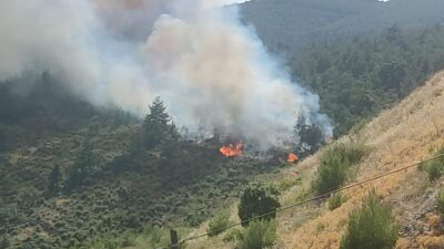 Balıkesir’de orman yangını! Kontrol altına alındı