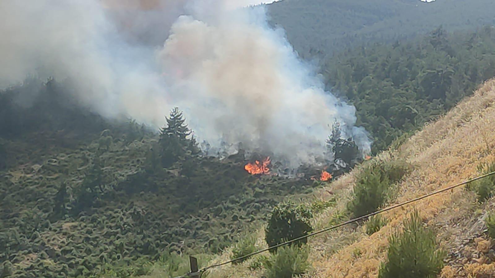 Balıkesir’de orman yangını! Kontrol altına alındı