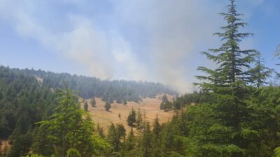 5 ilde orman yangını