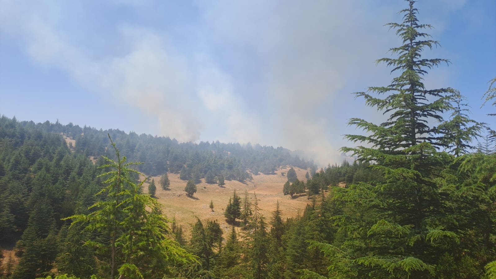 5 ilde orman yangını