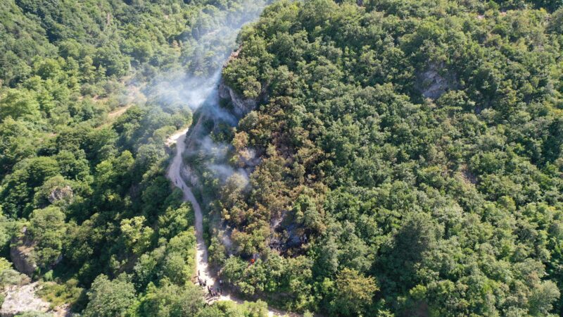Bursa'da, Uludağ eteklerinde çıkan orman yangınının kontrol altına alınmasına çalışılıyor.