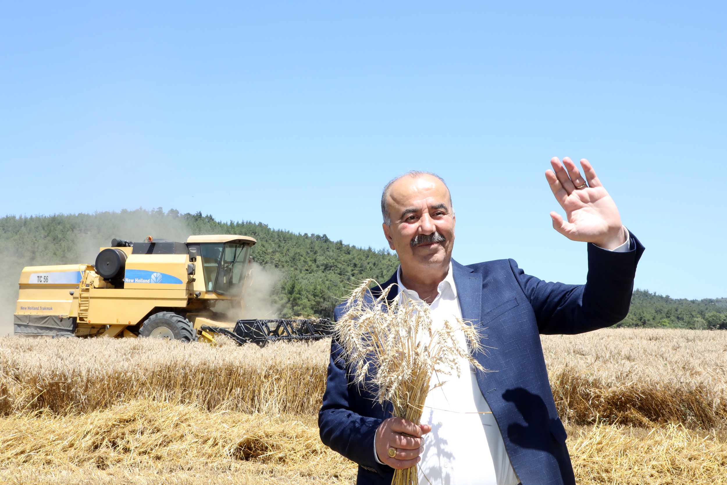 Mudanya’da buğday hasadı zamanı