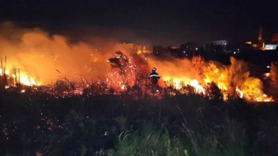 Cezayir’de orman yangını! 15 kişi hayatını kaybetti