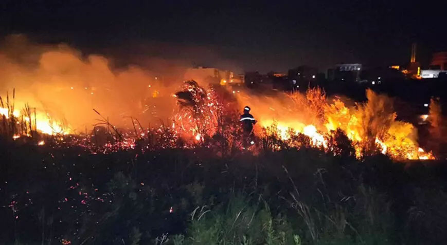 Cezayir’de orman yangını! 15 kişi hayatını kaybetti Cezayir’de orman yangını! 15 kişi hayatını kaybetti