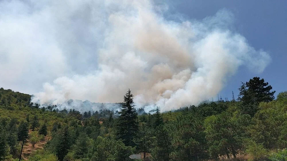 Afyonkarahisar, Kütahya ve İzmir’de orman yangını
