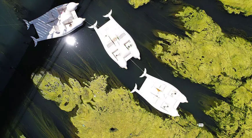 İçler acısı manzara! Seyhan Nehri bu halde geldi