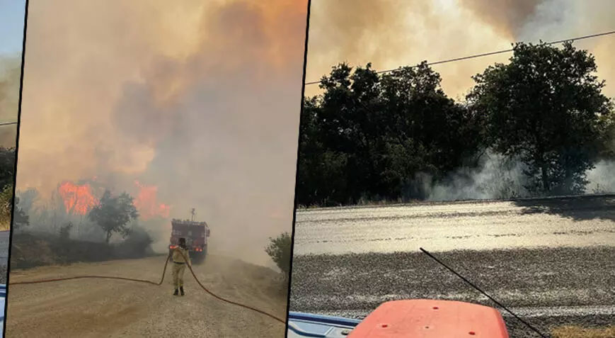 Çanakkale’de orman yangını kontrol altına alındı