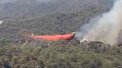 Muğla Fethiye’de orman yangını