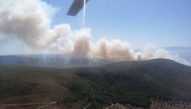 Çeşme’de orman yangını Çeşme’de orman yangını