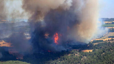 6 ilde orman yangını: Gözaltı ve tutuklamalar var