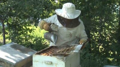 Bal üretiminde dünyada ikinciyiz
