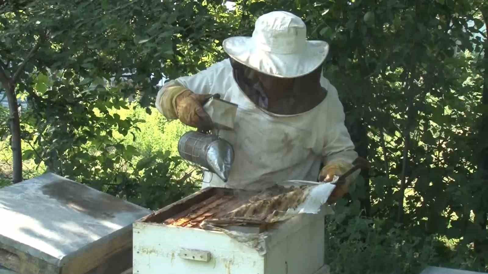 Bal üretiminde dünyada ikinciyiz