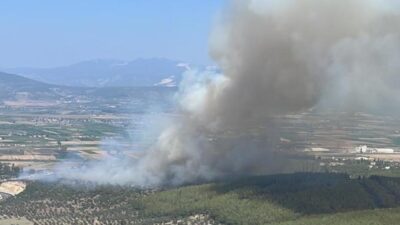 Milas-Bodrum Havalimanı yolunda yangın