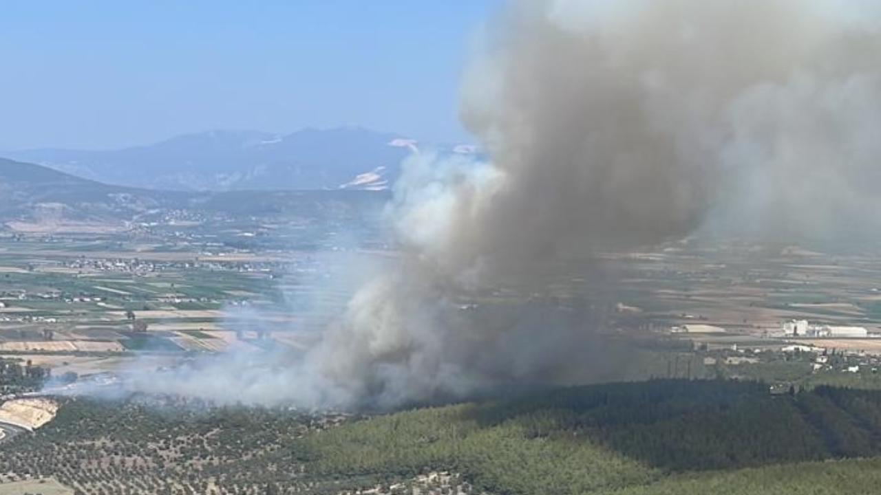 Milas-Bodrum Havalimanı yolunda yangın