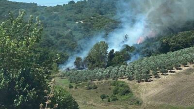 Bursa’nın bu ilçesinde de korkutan yangın! 5 dönümlük alan küle döndü…