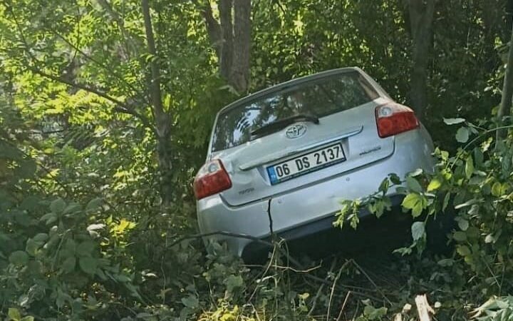 Bursa’nın Kestel ilçesi Bursa-Ankara karayolu üzeri Ümitalan mevkinde kontrolden çıkan
