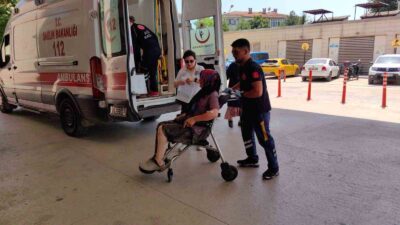 Bursa’da yaşlı kadına köpek saldırdı