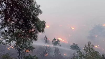 Bolu’da düşen yıldırım yangına sebep oldu! Ekipler müdahale ediyor