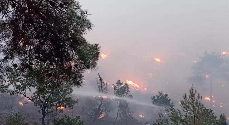 Bolu’da düşen yıldırım yangına sebep oldu! Ekipler müdahale ediyor