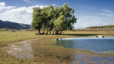 Karadeniz’den Akdeniz’e… Kuraklığa ‘El Nino’ etkisi