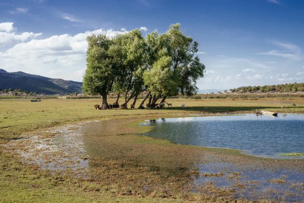 Karadeniz’den Akdeniz’e… Kuraklığa ‘El Nino’ etkisi