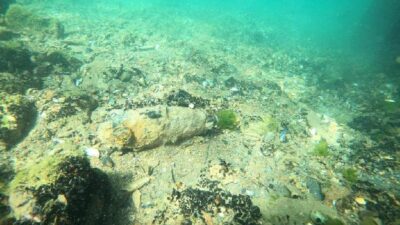 Midye avına çıktı, havan topu mermisi buldu